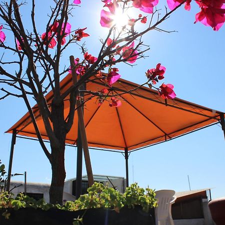 Hotel Oaxaca Magico 외부 사진